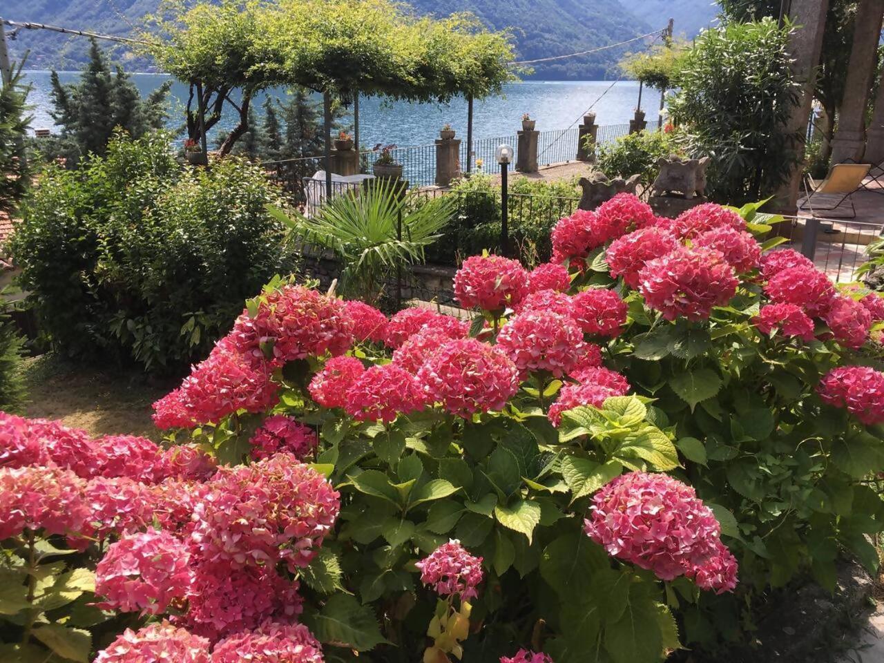 Villa Peroni Honeymoon Cottage Argegno Bagian luar foto
